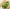 Kids Dinosaur Slippers Wholesale Summer Cartoon Parent Child Outdoor Home EVA Sandals Women Men Kids Cute Slippers Baby Shoes